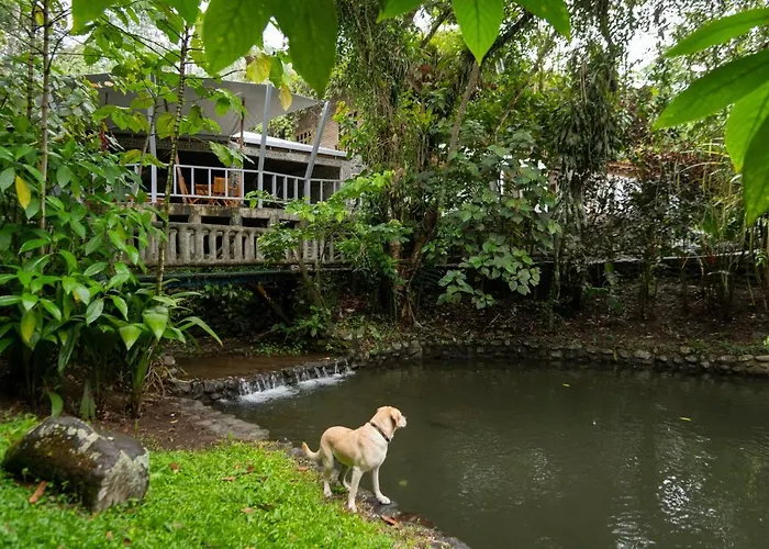 Rancho Margot Sustainable&Self Sufficient Eco Lodge