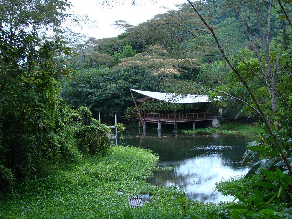 Lodge Rancho Margot Sustainable&self Sufficient Eco El Castillo