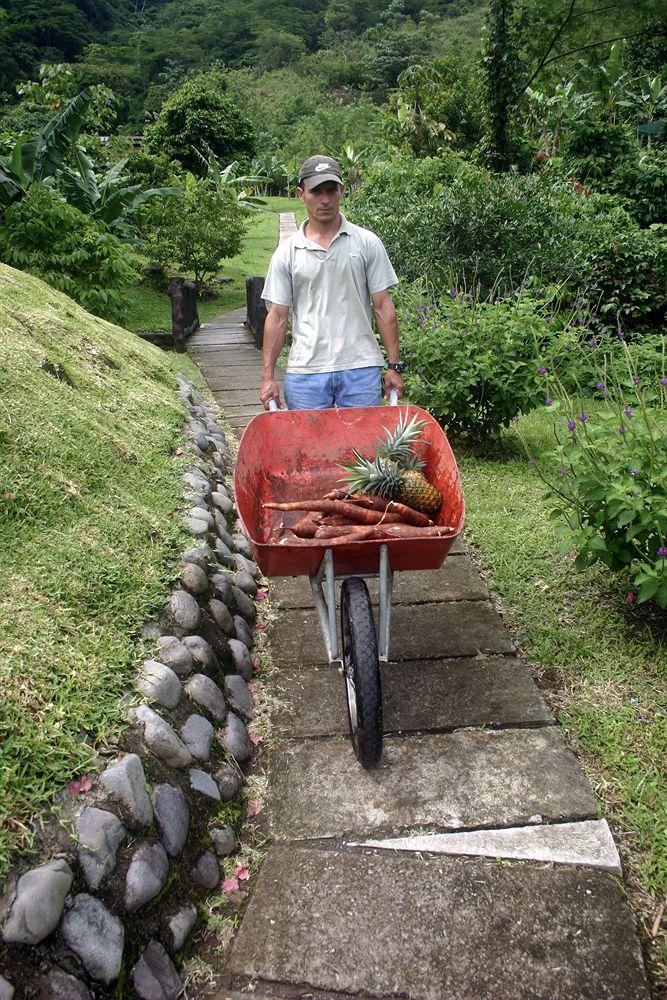 Lodge Rancho Margot Sustainable&self Sufficient Eco El Castillo