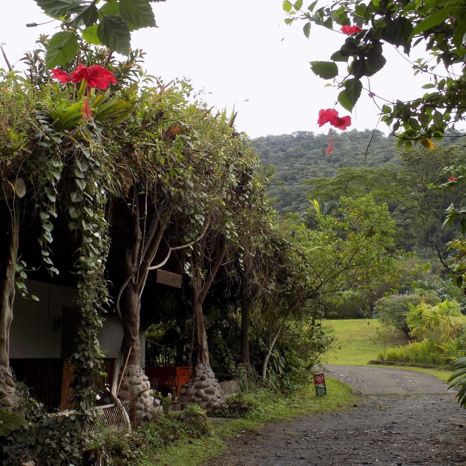 Lodge Rancho Margot Sustainable&self Sufficient Eco