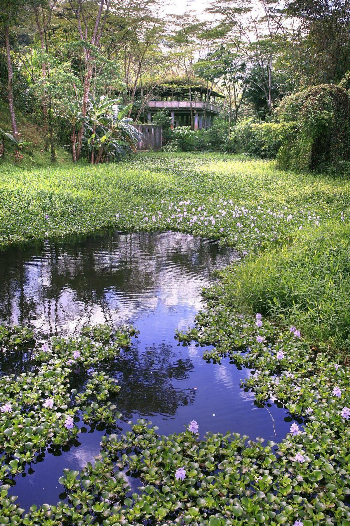 Lodge Rancho Margot Sustainable&self Sufficient Eco El Castillo